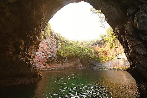 2 Jan 27 - Musgrave Inlet, Auckland Islands