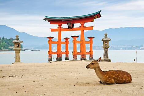 29 Mar 26 - Miyajima Island