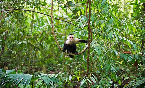 4 Dec 26 - Manuel Antonio National Park