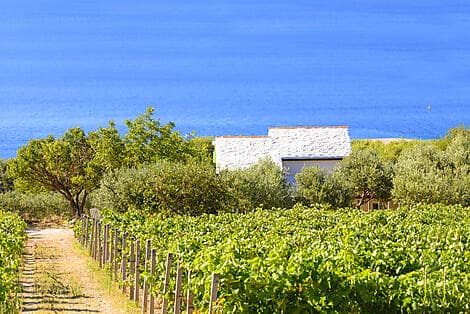 26 Aug 26 - Pucisca, Brac Island