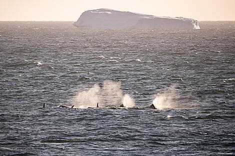 25 Jan 26 - Amundsen Sea