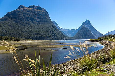31 Dec 26 - Milford Sound