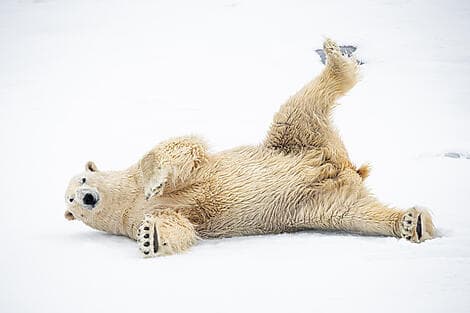 1 Jun 27 > 2 Jun 27 - Exploration of North-East Greenland