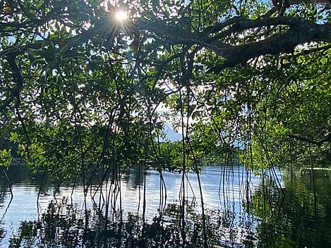 12 Jan 26 - La Ensenada
