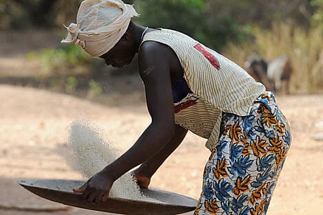 22 Jan 26 - Canhabaque, Bijagos