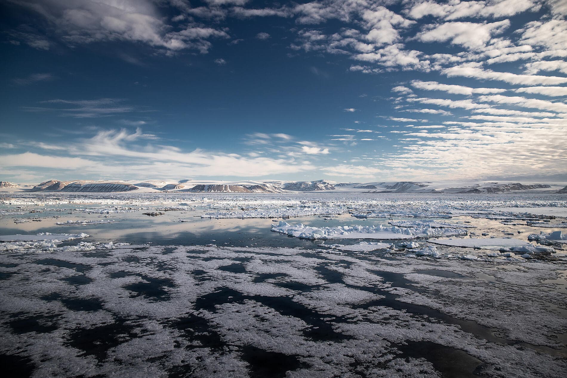 In the ice of the Arctic, from Greenland to Svalbard ©morgane_Monneret/StudioPONANT