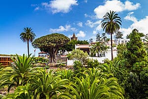 The gardens of Tenerife