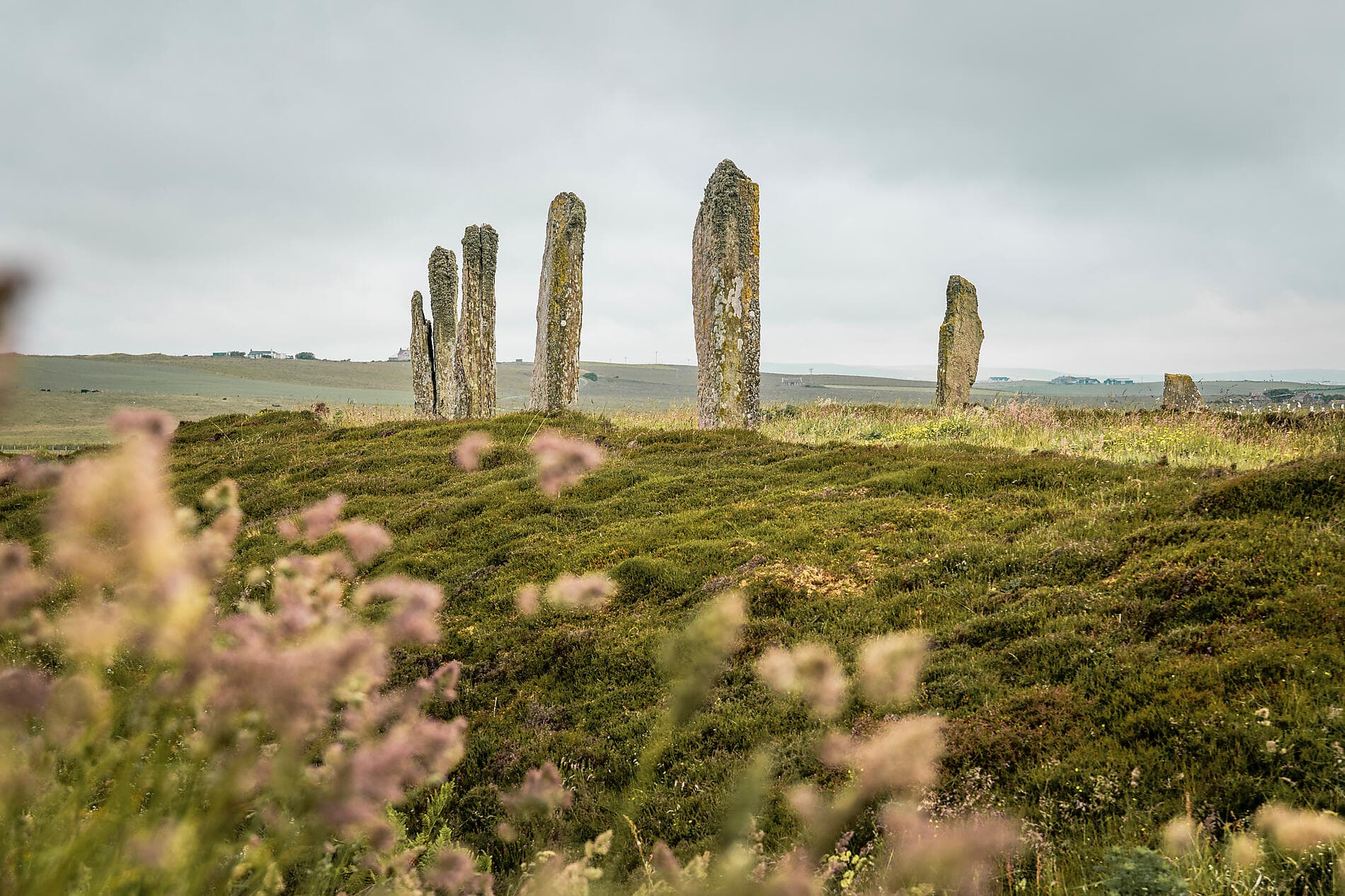 Music of the Northern Shores 