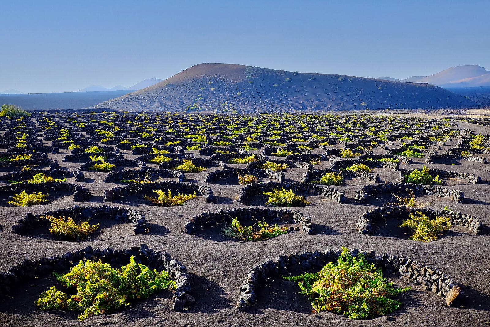 Atlantic Odyssey from the Canary Islands to the Iberian Peninsula  