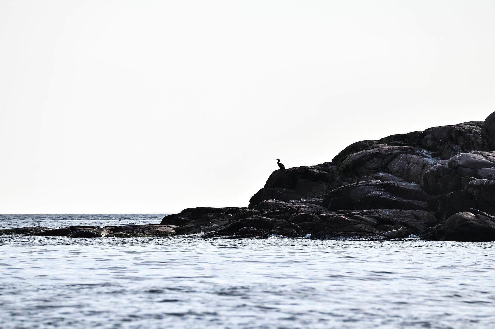 Jazz festival, from the Baltic to the North Sea