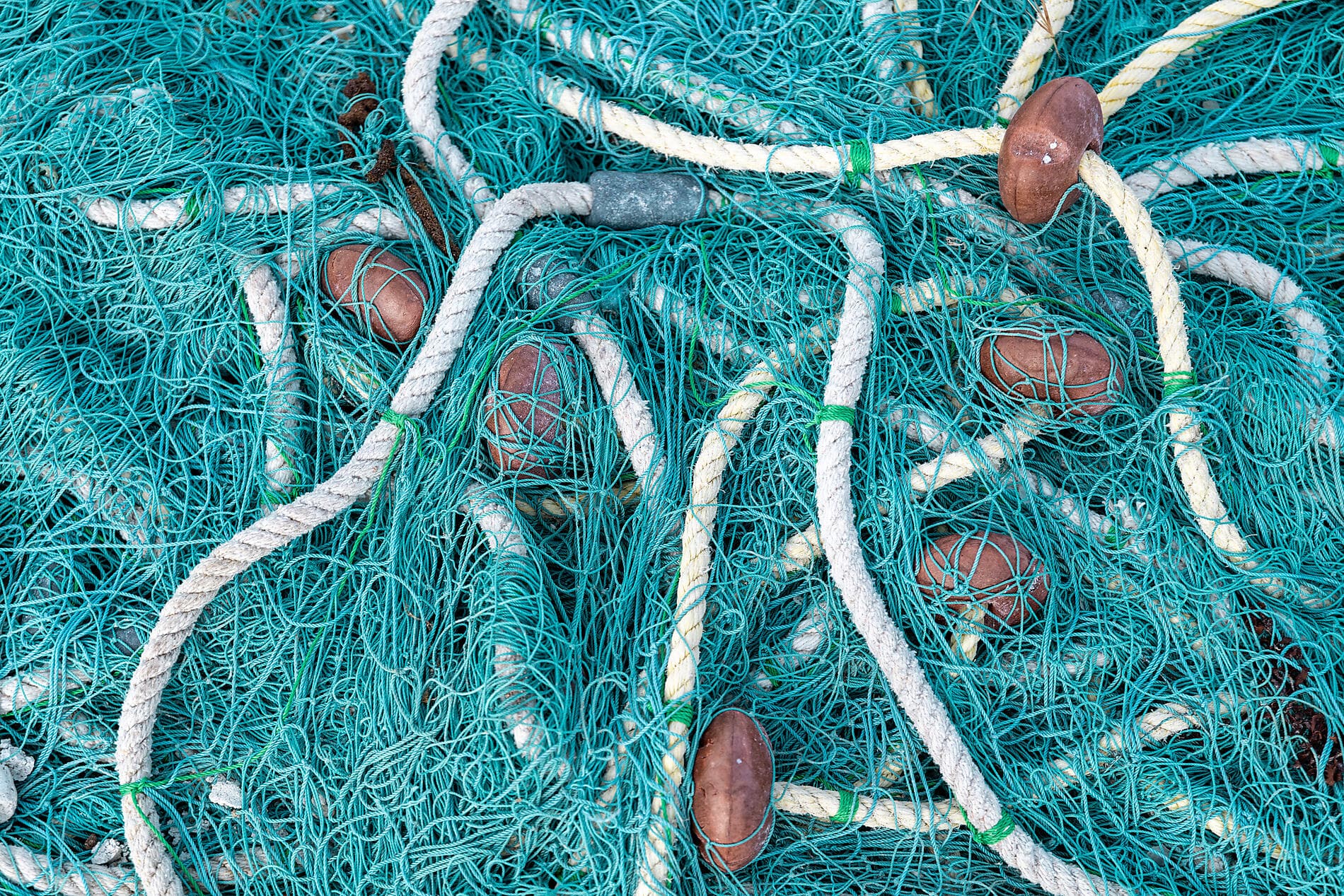 Gliding the Waters of the Windward Islands