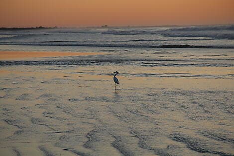 19 Mar 27 - Rio Grande