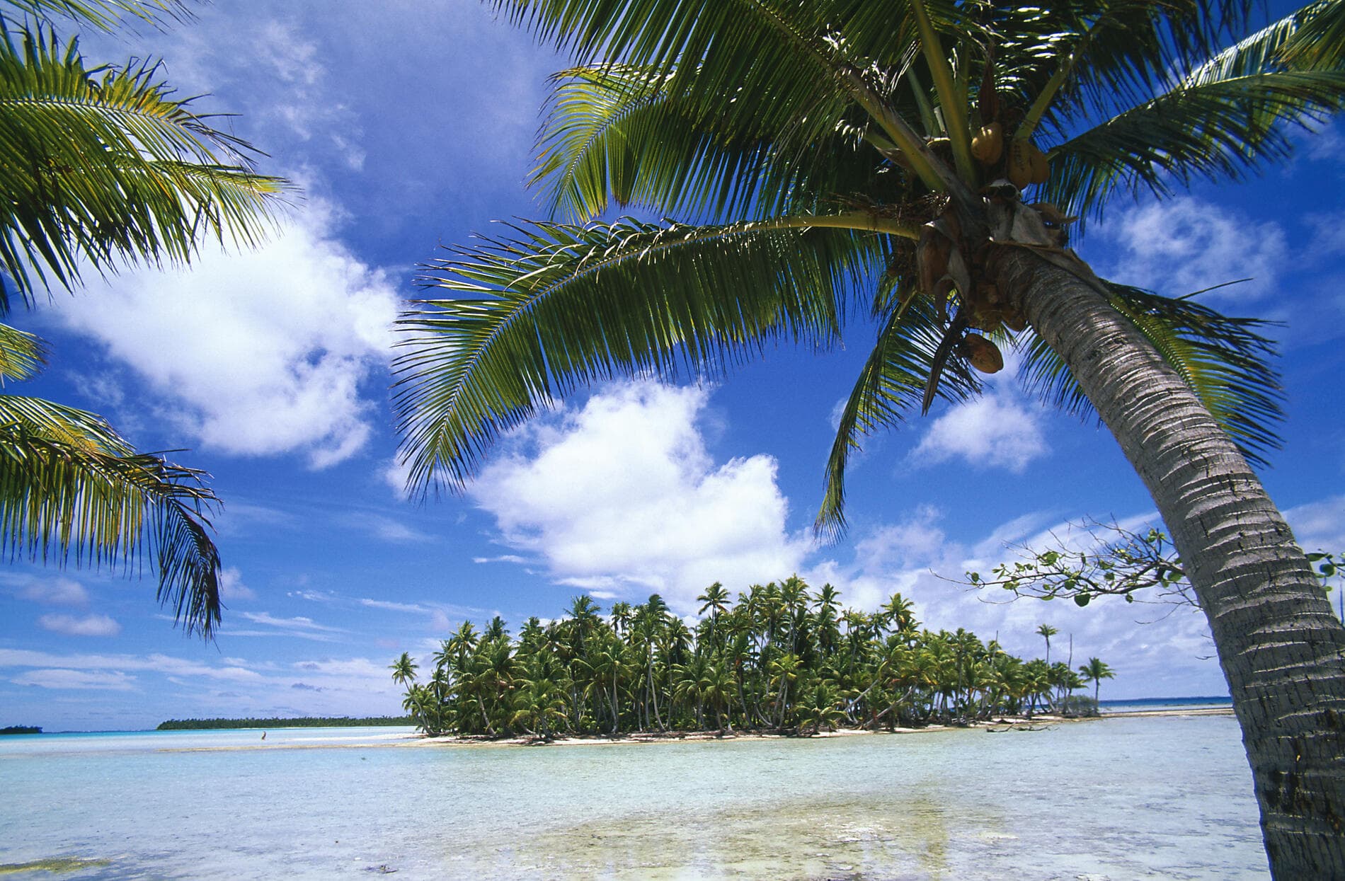 From Confidential French Polynesia to Pitcairn Island 