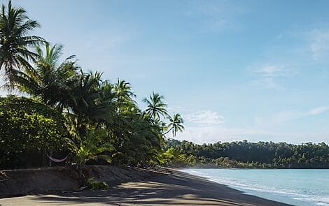 7 Dec 26 - Cedros Island