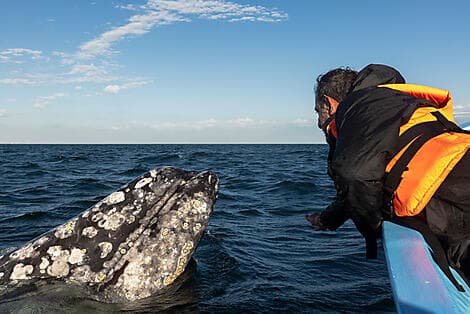 4 Mar 27 - Guerrero Negro
