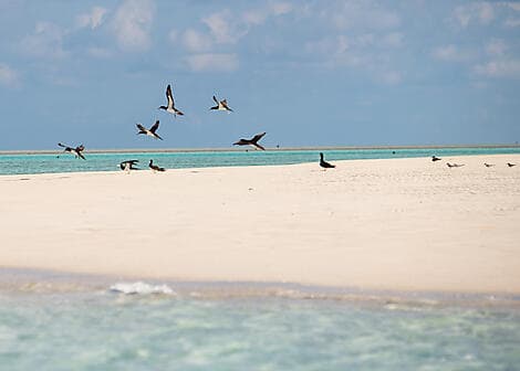 30 May 27 - Ashmore Reef (technical stop)