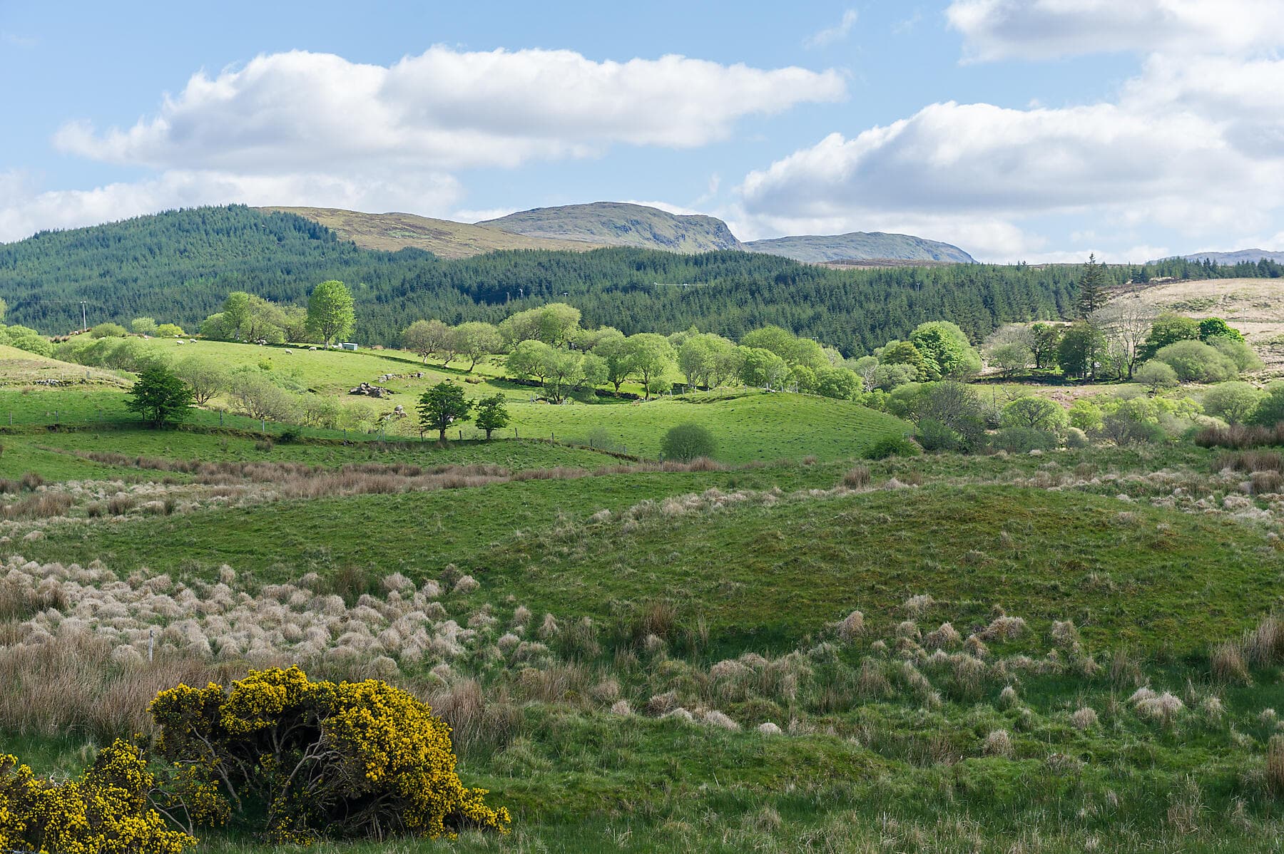 Circumnavigation of the Emerald Isle 