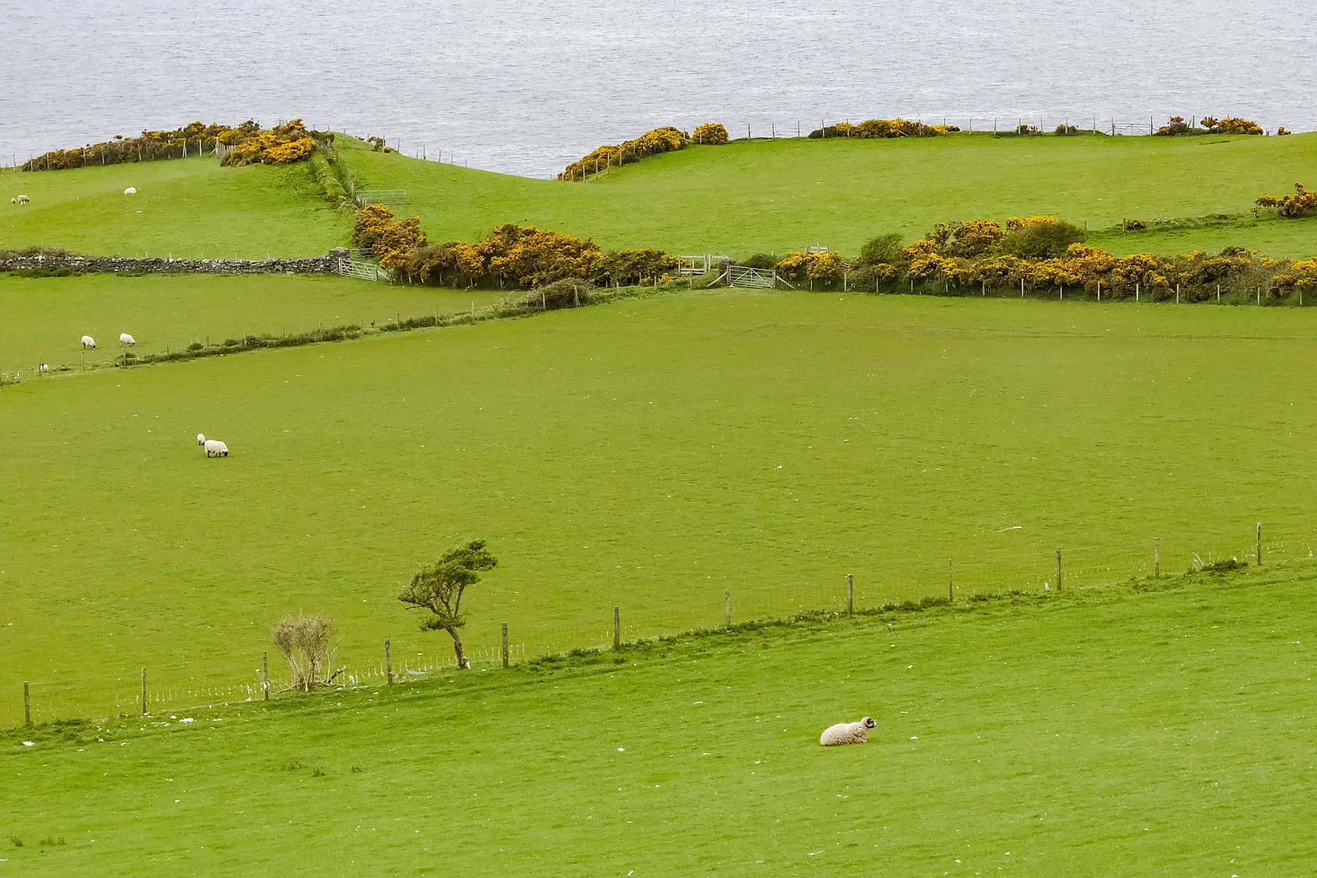 From Ireland to Scotland: A Journey through Celtic Lands 