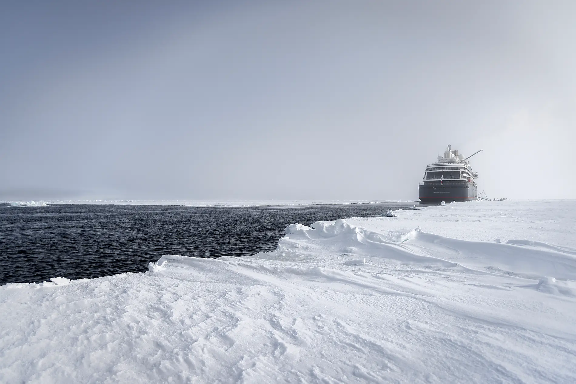 Artistic Adriatic with Pinault Collection  