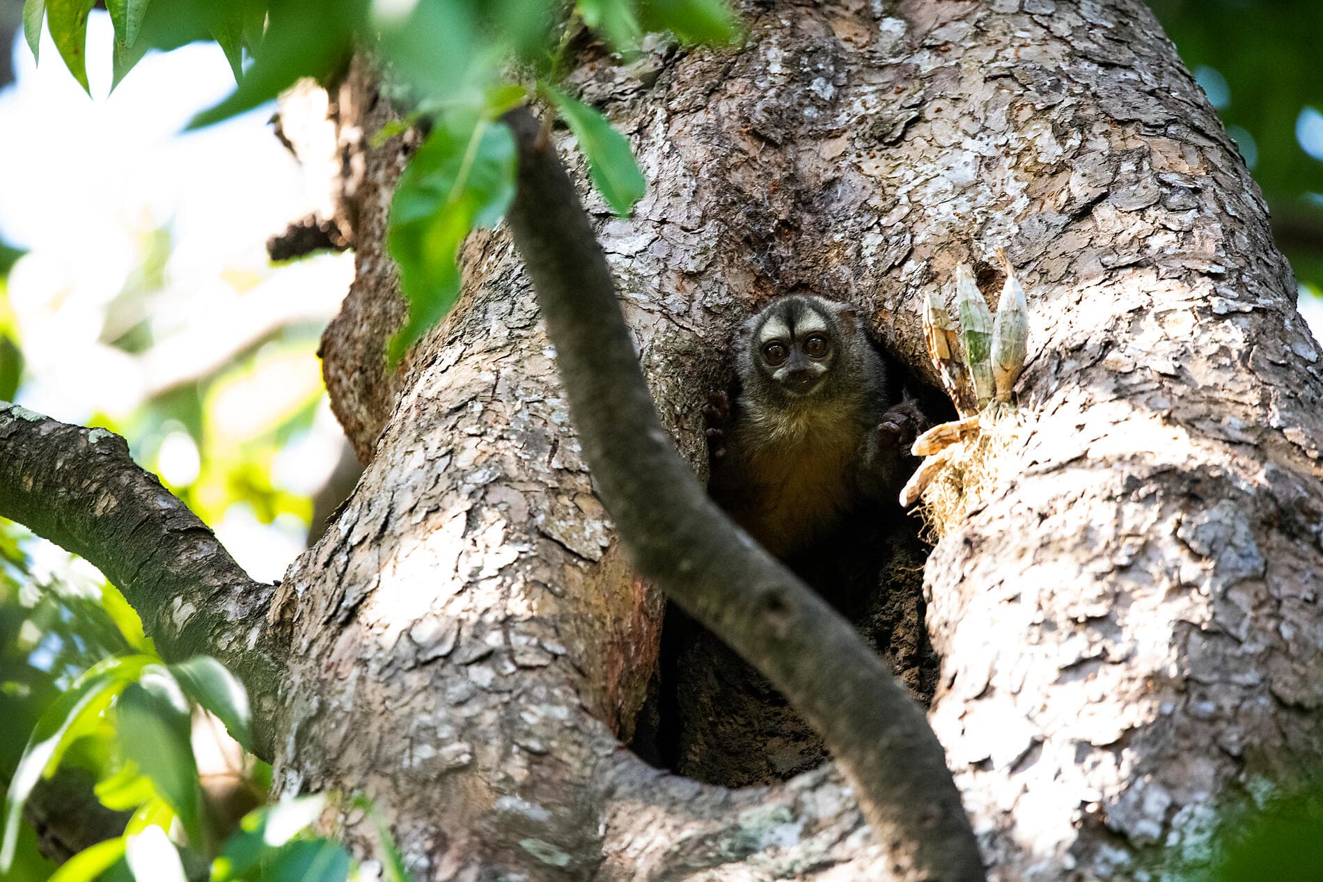 From Panama’s wild beauty to Peruvian shores 