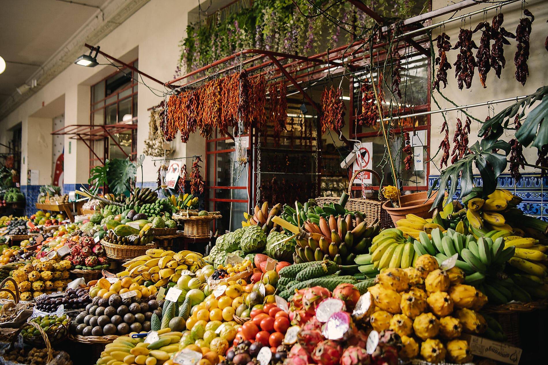 Madeira and the Azores