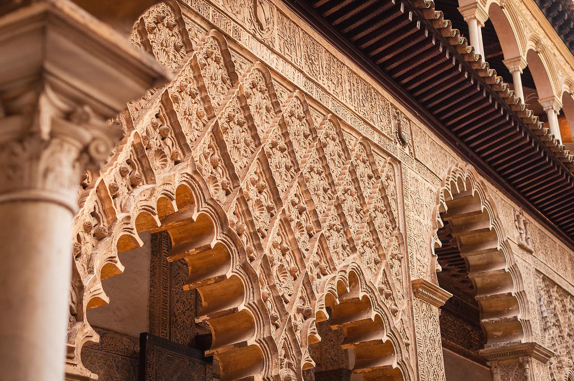 Atlantic odyssey from the Canary Islands to the shores of Morocco 