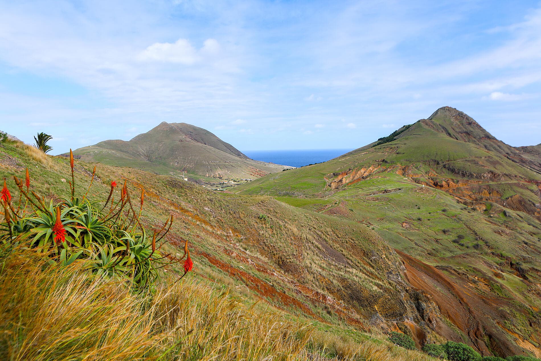 Madeira and the Azores