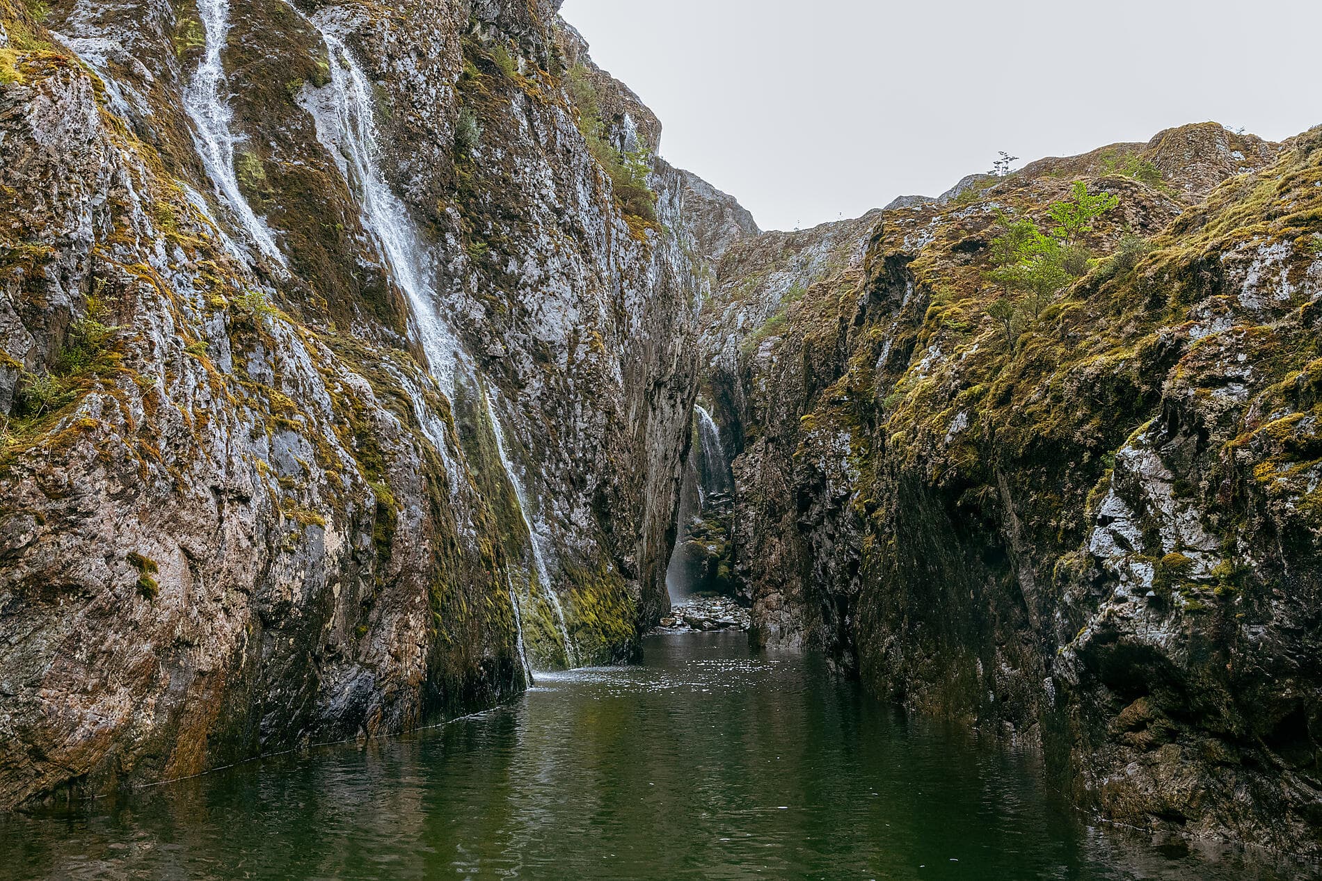 The best of Chilean Fjords 