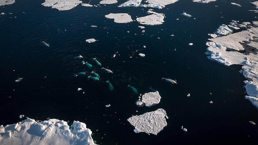 Beyond the inhabited world