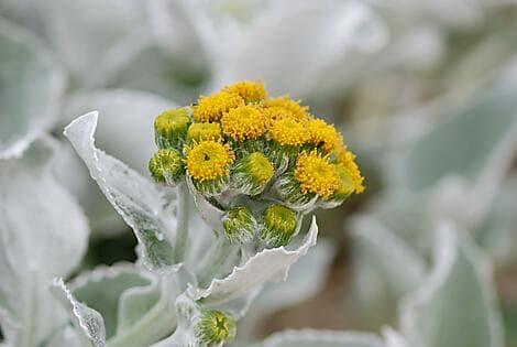 17 Feb 27 - Grave Cove